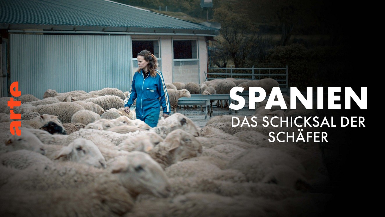 Das_Schicksal_der_Schaefer_neu.jpg