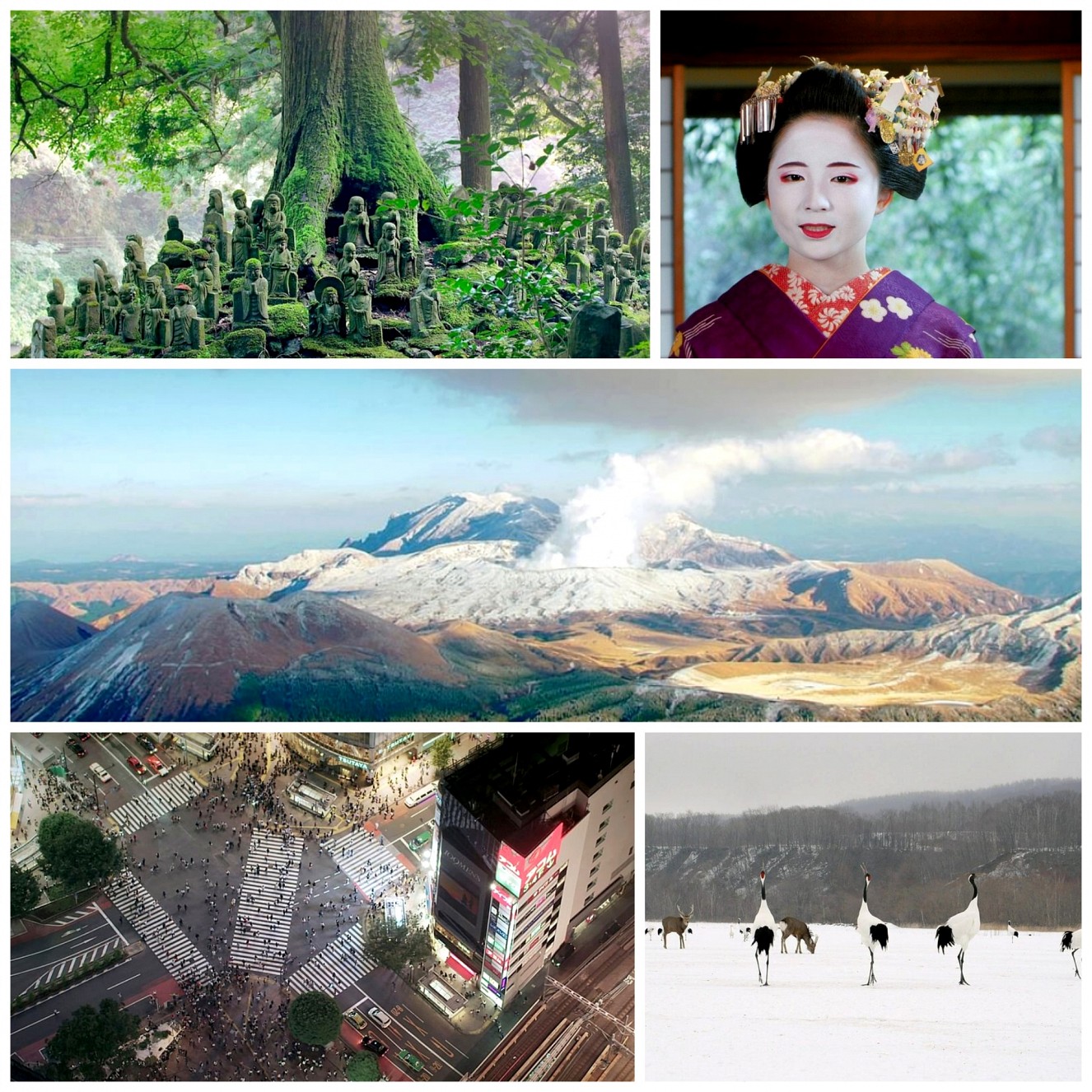 Japan_von_oben_Collage_PA.jpg