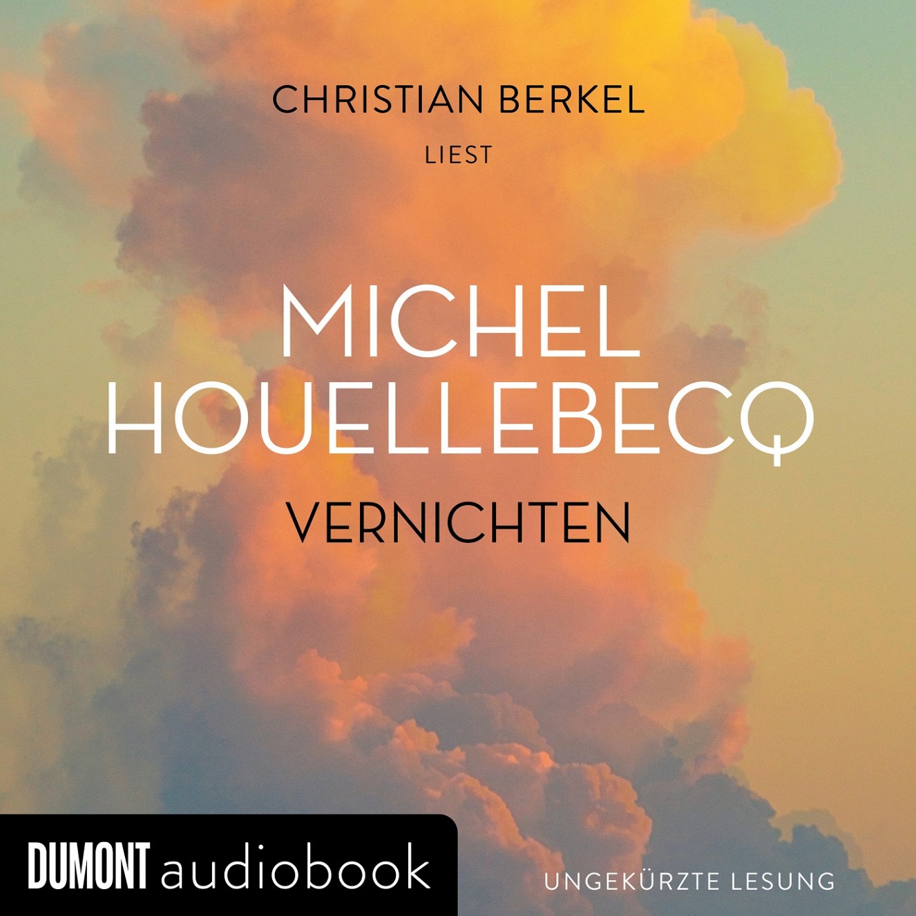 Vernichten_Houllebecq.jpg